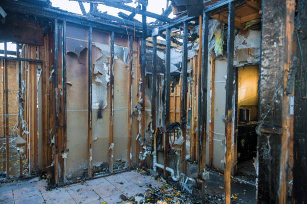 Professional Soot Cleanup technician working in Enterprise, UT